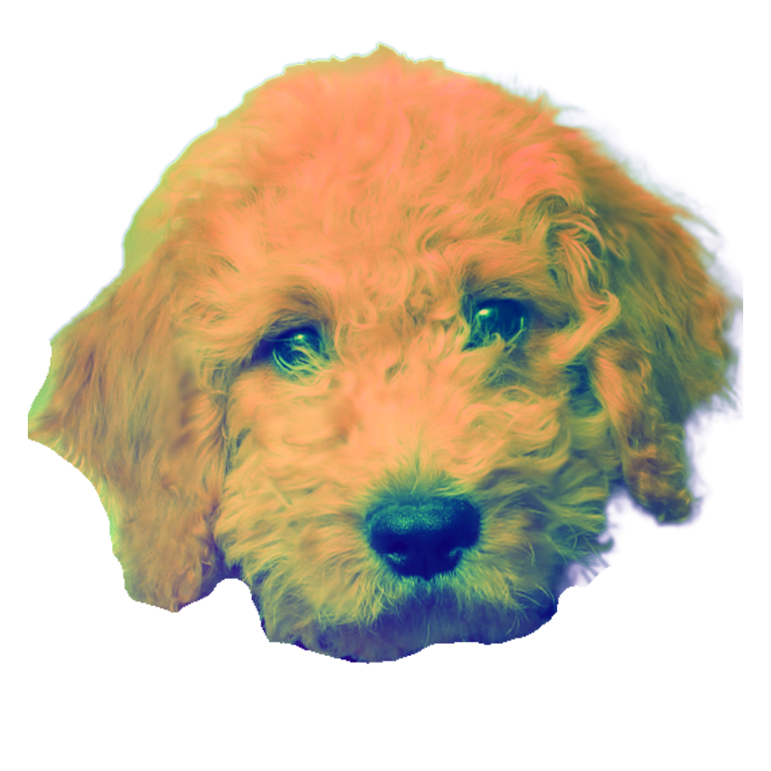 Vite logo